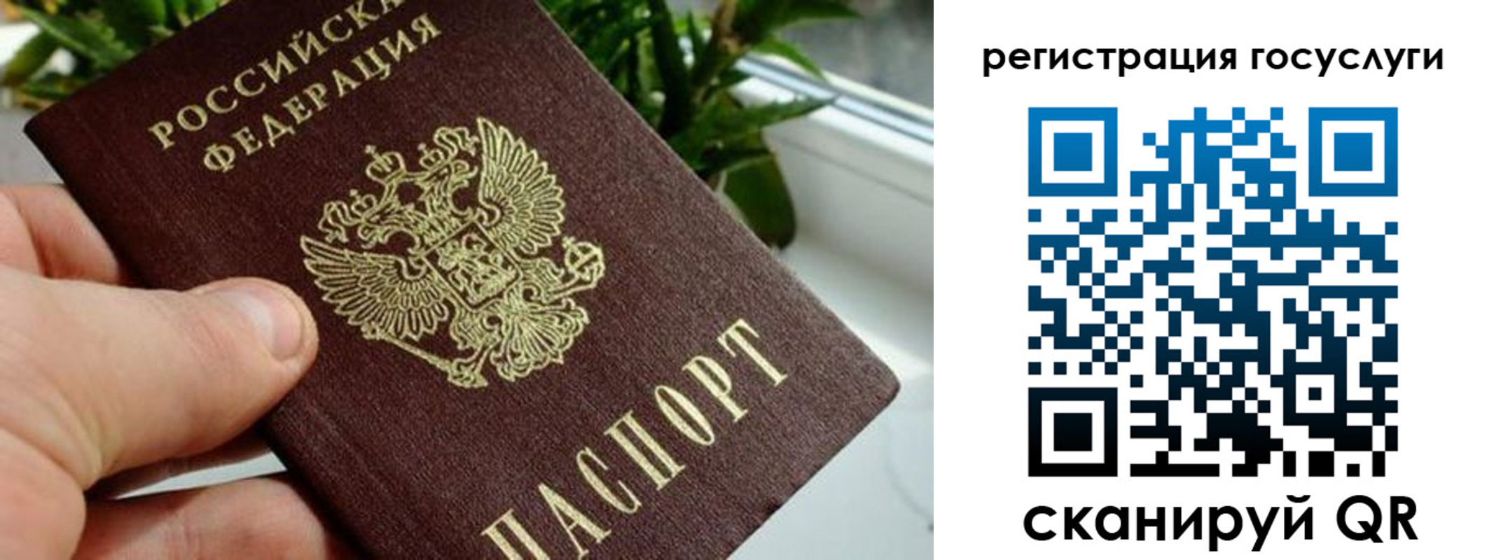 прописка для кредита в Петровске